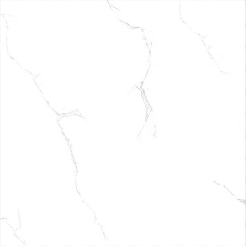 MOTION