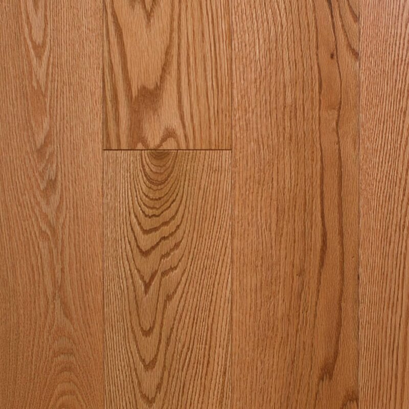 RED OAK, GOLDEN