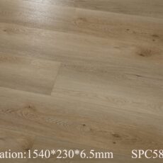 589531-2