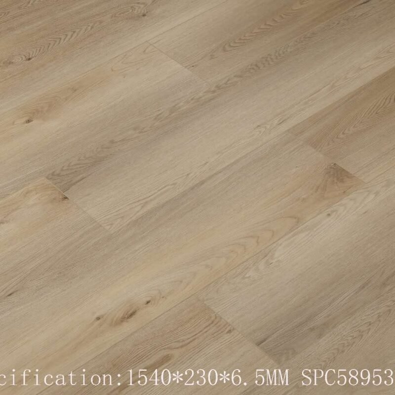 589531-5
