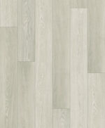 701 Sandy Shell