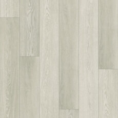 701 Sandy Shell