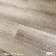 SPC 1022-3