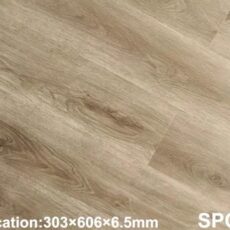 SPC 1069