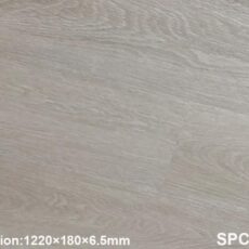 SPC 6661-10