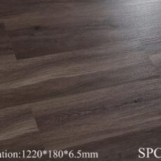 SPC 6681