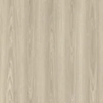 Dove