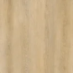 Palomino