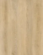 Palomino