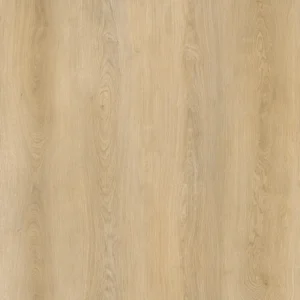 Palomino