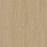 Biscuit