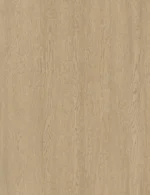 Biscuit