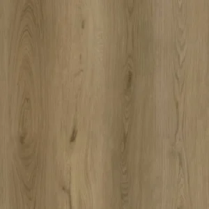Mocha