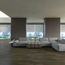 Modern Grey
