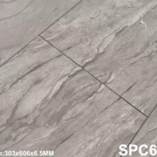 SPC 6007-4