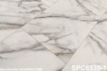 SPC 6539-1
