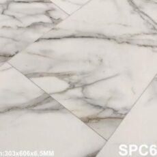 SPC 6539-1