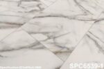 SPC 6539-1
