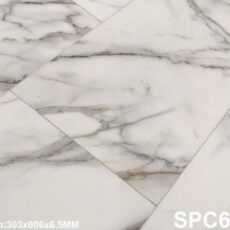 SPC 6539-1