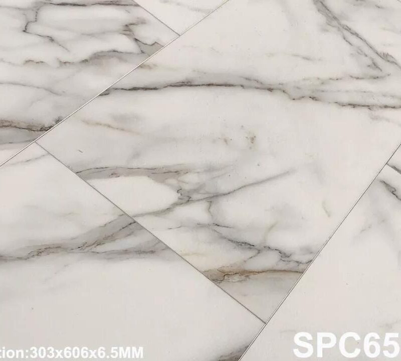 SPC 6539-1