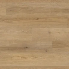 SPC – Countryside Elm