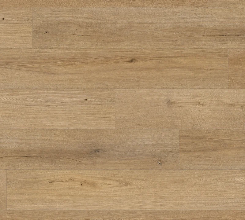 SPC – Countryside Elm