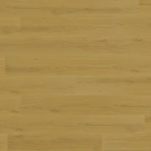 T02