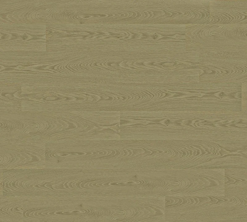 T03