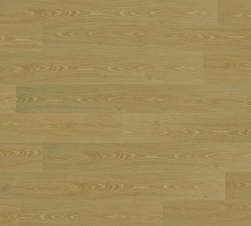 T04