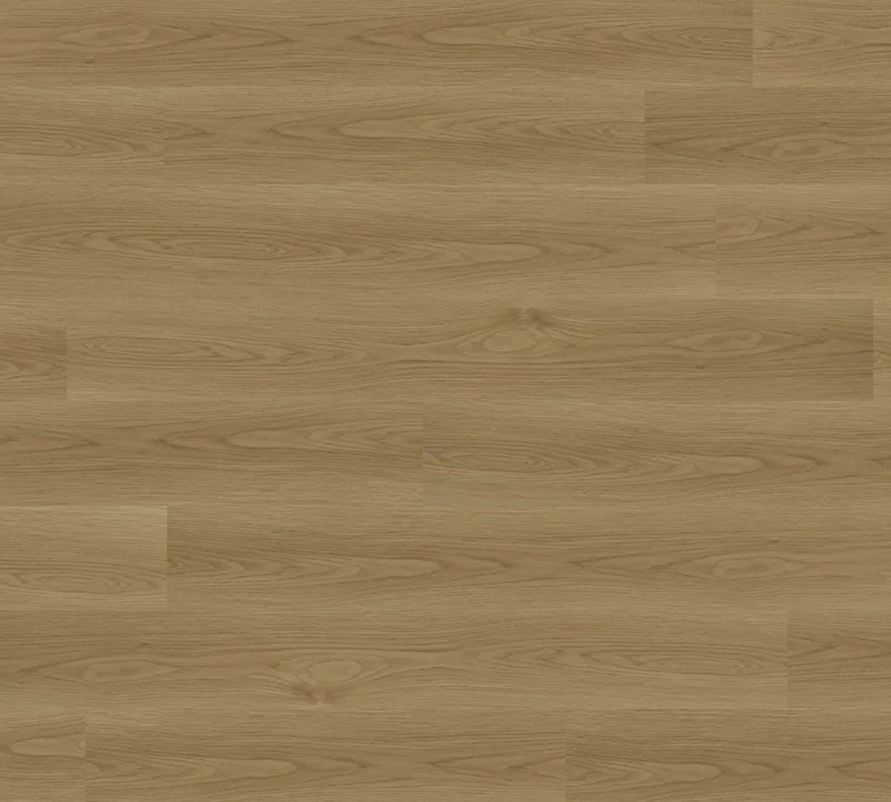 T05