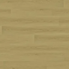 T06