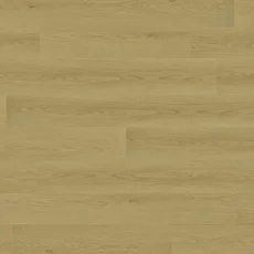 T06