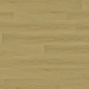 T06