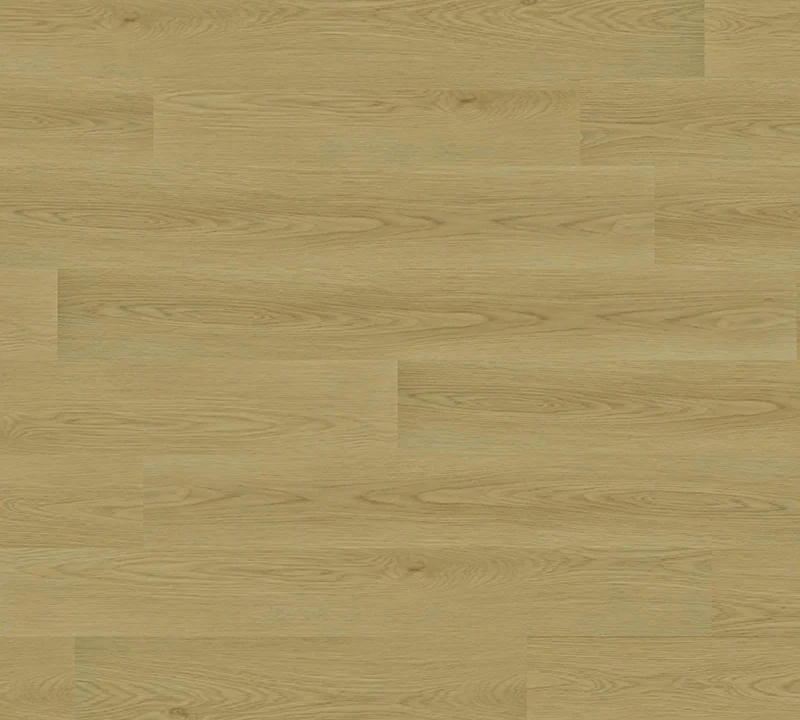 T06