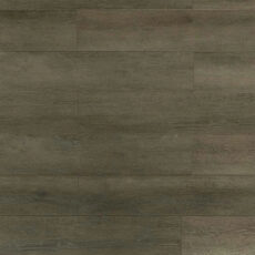 TF6305-F | Black Forest