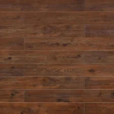 TF8001 | Umber