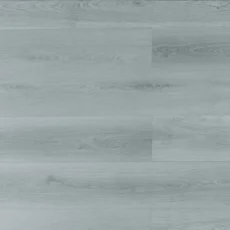 TFGD205