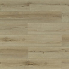 TFL627 | Honey Birch