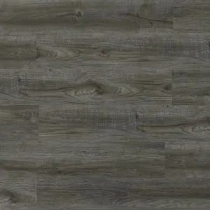 TFSPC303-F | Orchestra