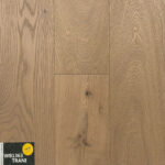 WB1363 - TRANI