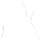 Aria White New