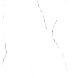 Aria White New