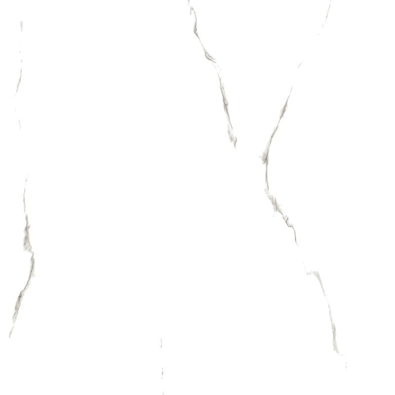 Aria White New