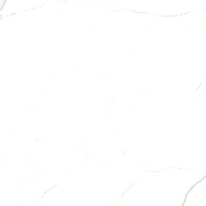 Motion