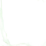 WHITE CARRARA