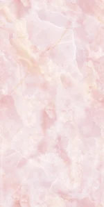Petel Onyx