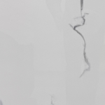 VENUS BIANCO