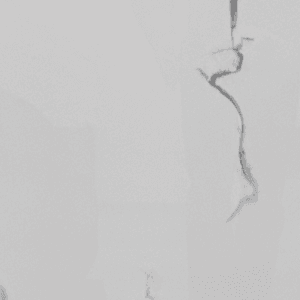 VENUS BIANCO