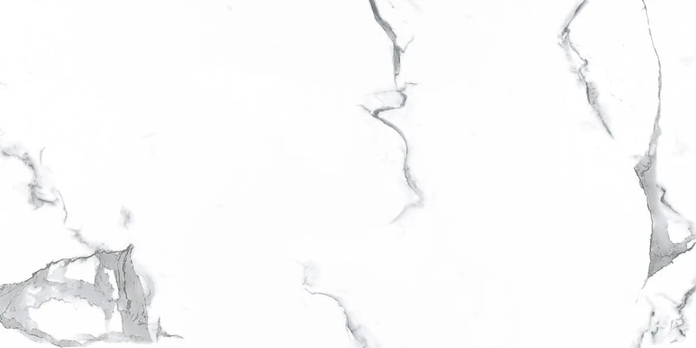 VENUS  BIANCO