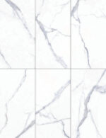 BPCK1265 CATARINA BIANCO 24″x48″